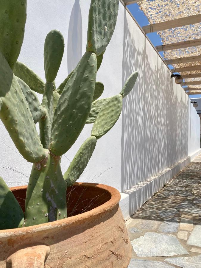 Fikas Hotel Naxos City Zewnętrze zdjęcie